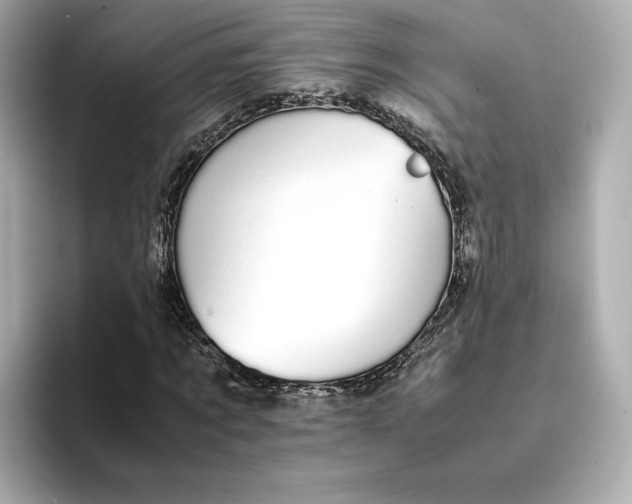 X0000095120869200712211308