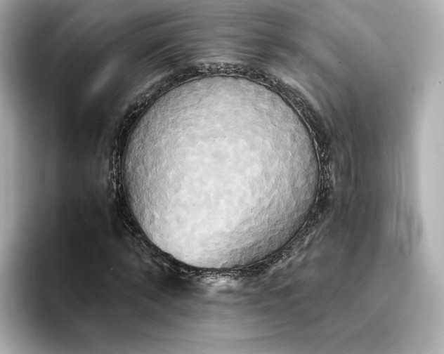 X0000095120870200712211308