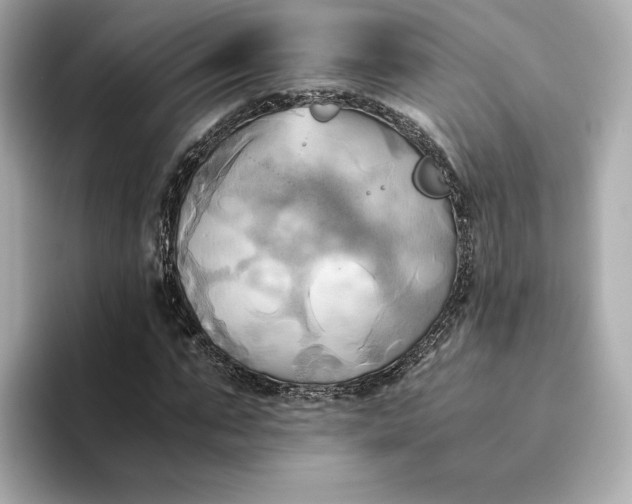 X0000095120871200712211308