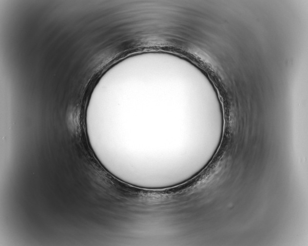 X0000095120873200712211308