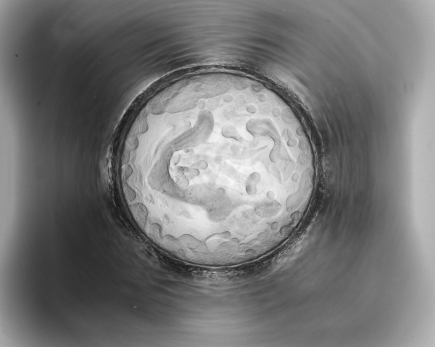 X0000095120875200712211307