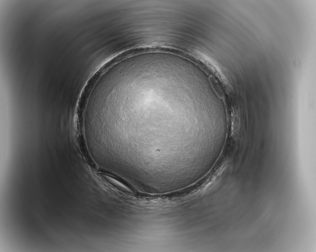 X0000095120876200712211307