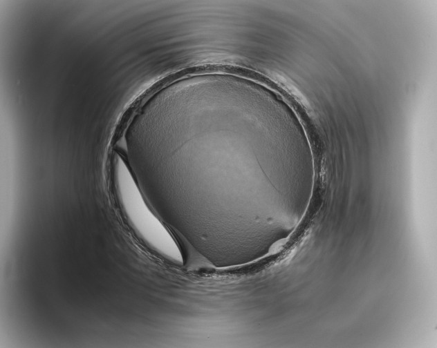 X0000095120877200712211307