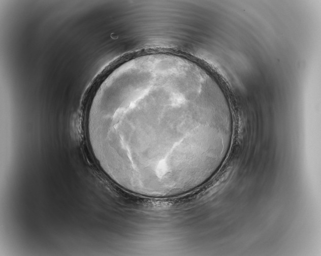 X0000095120878200712211307