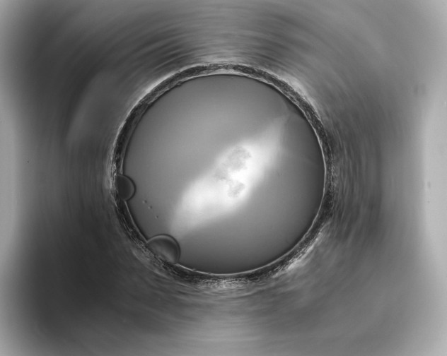 X0000095120879200712211307