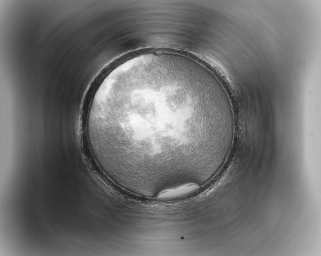 X0000095120880200712211307