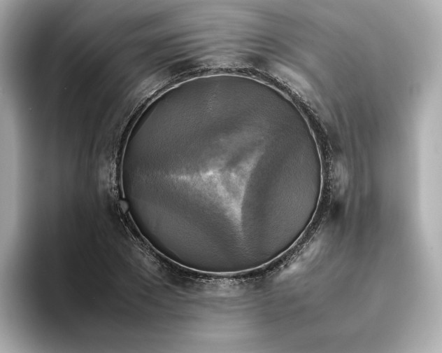 X0000095120881200712211307