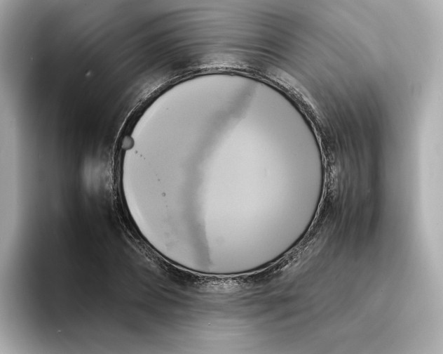 X0000095120882200712211307