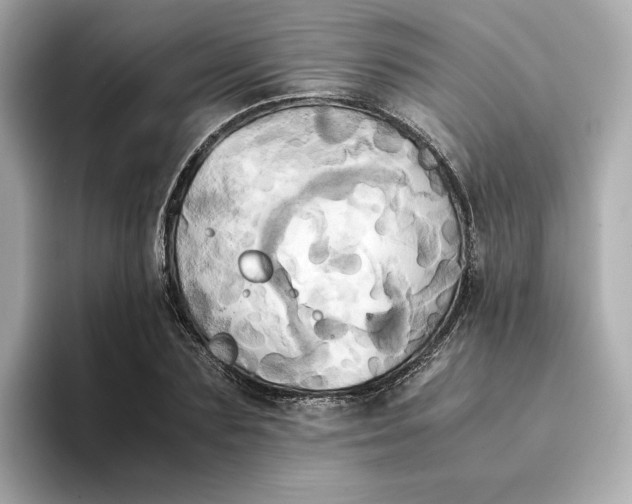 X0000095120883200712211307