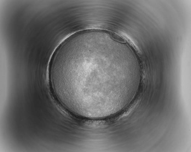 X0000095120884200712211307