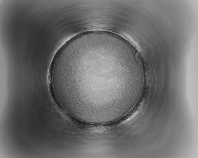 X0000095120885200712211307