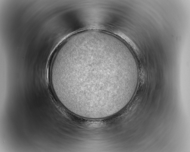 X0000095120886200712211307