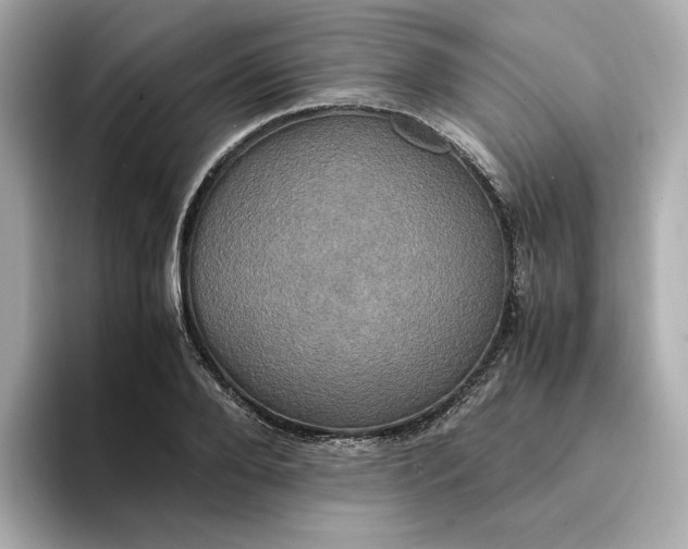 X0000095120888200712211307