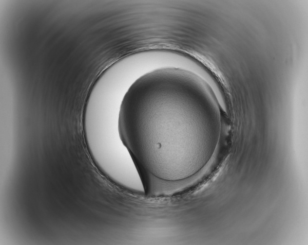 X0000095120889200712211307