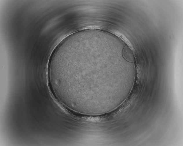 X0000095120890200712211307