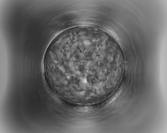 X0000095120891200712211307