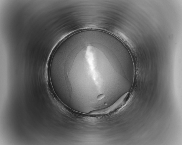 X0000095120892200712211307