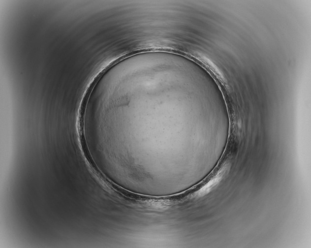 X0000095120893200712211307