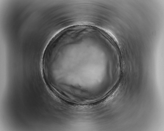 X0000095120895200712211307