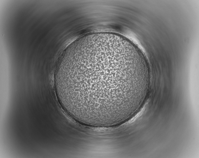 X0000095120897200712211307