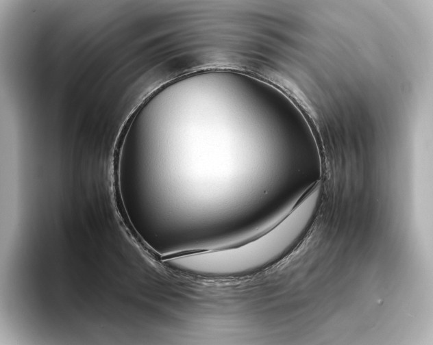 X0000095120898200712211307