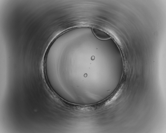 X0000095120899200712211307