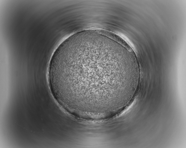 X0000095120901200712211307