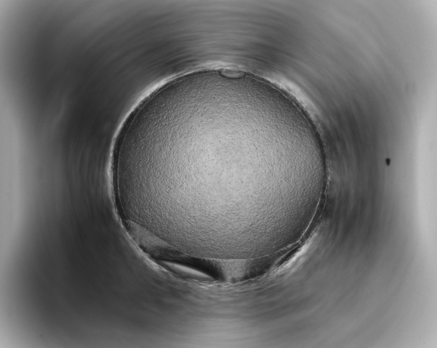 X0000095120902200712211307