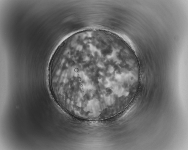 X0000095120903200712211307