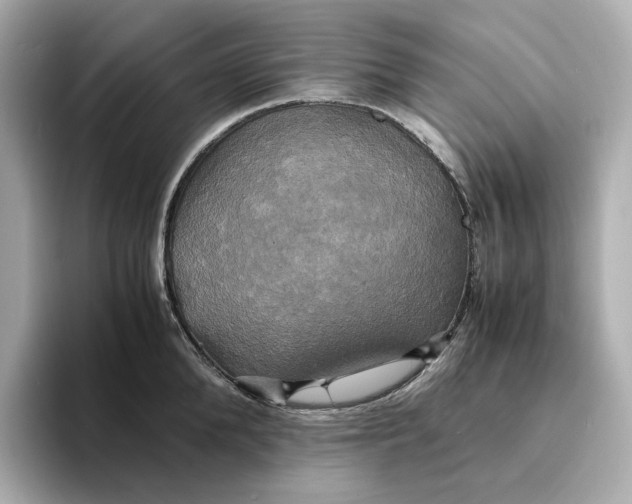 X0000095120904200712211307