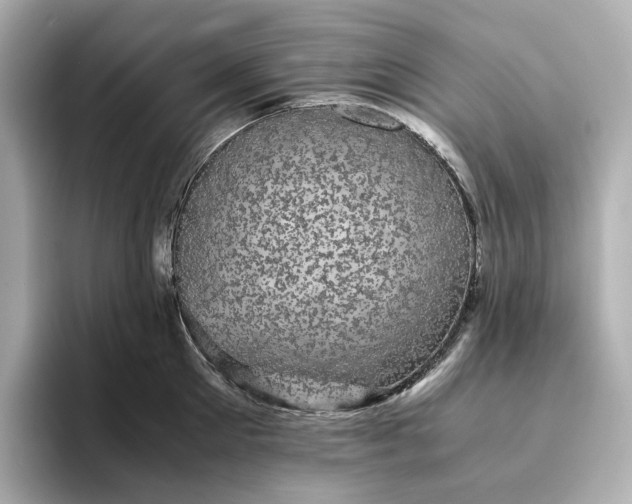 X0000095120905200712211307