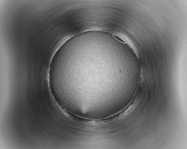 X0000095120906200712211307