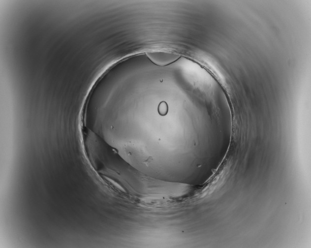 X0000095120907200712211307