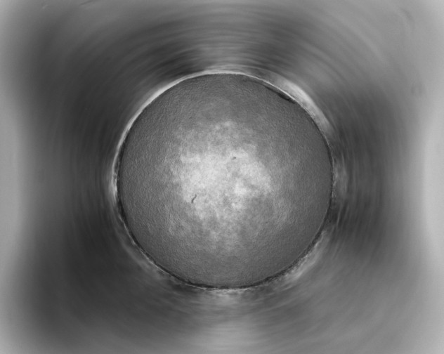 X0000095120908200712211307