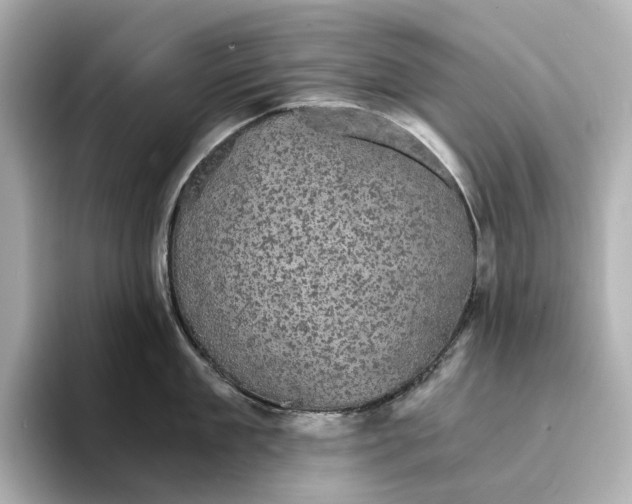 X0000095120909200712211307