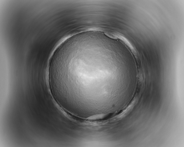 X0000095120910200712211307