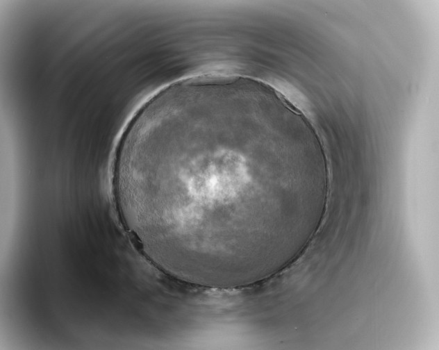 X0000095120912200712211307