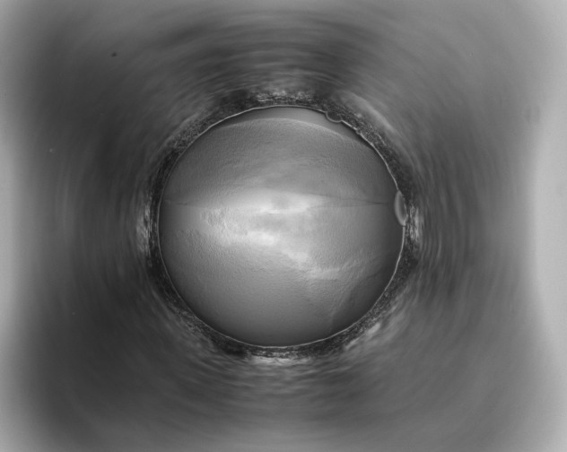 X0000095120915200712211306