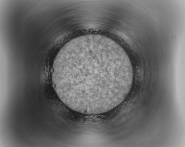 X0000095120918200712211306