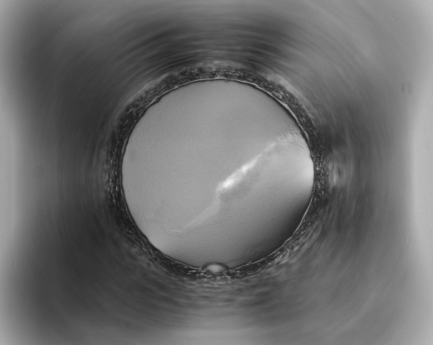 X0000095120919200712211306