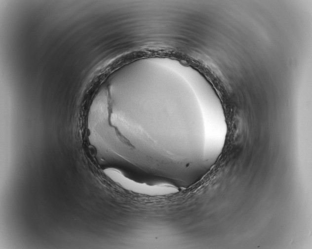 X0000095120920200712211306