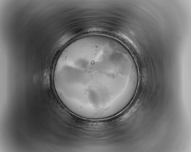 X0000095120921200712211306