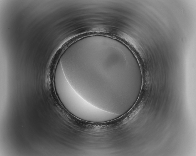 X0000095120923200712211306