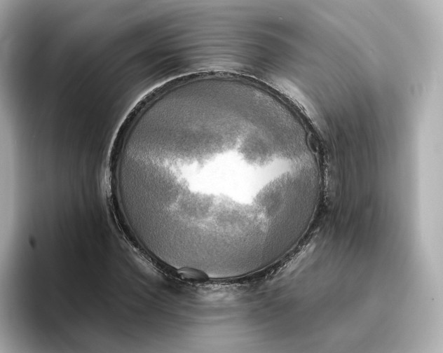 X0000095120924200712211307