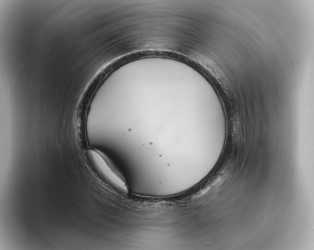 X0000095120926200712211307