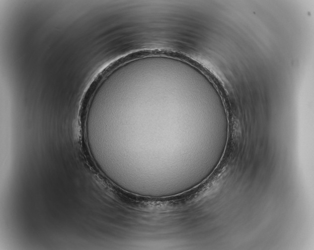 X0000095120927200712211307