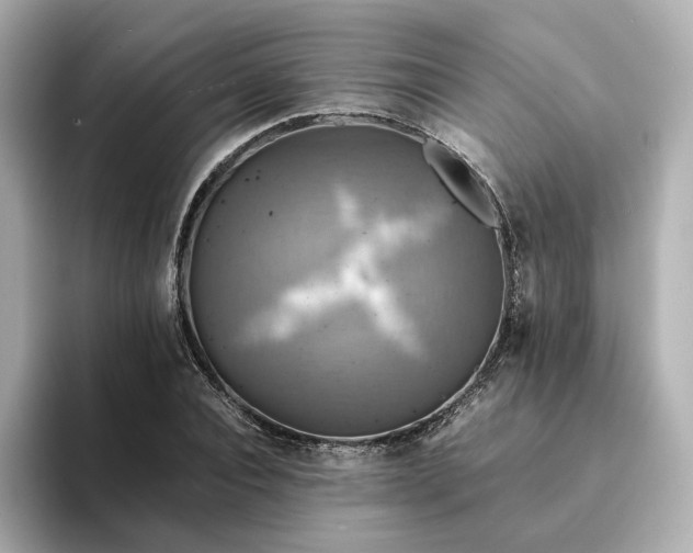 X0000095120928200712211307