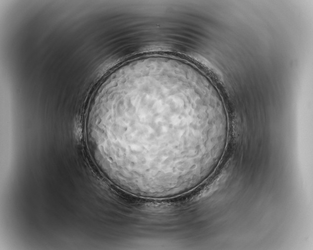 X0000095120929200712211307