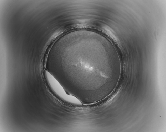 X0000095120930200712211307