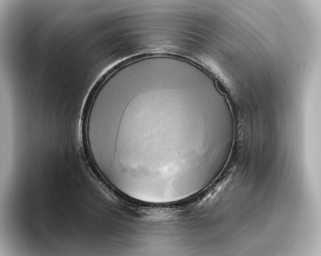 X0000095120932200712211307